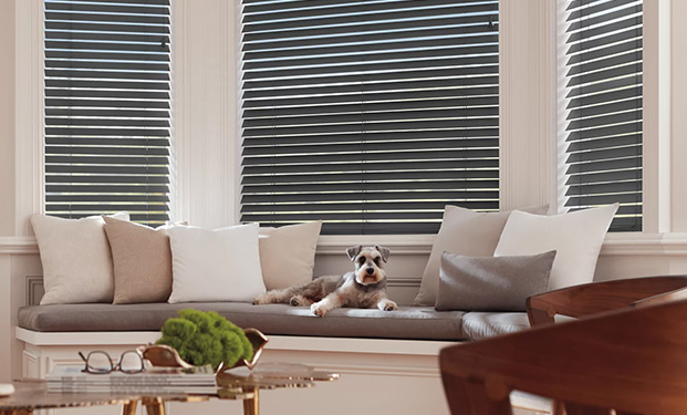 Living room ambience with Hunter Douglas wooden window blinds, sunlight streaming in, cozy sofa with cushions, a dog resting, glass centre table, and wooden chair.